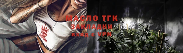 индика Новокубанск