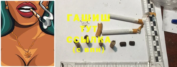 индика Новокубанск