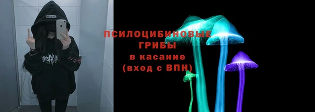 марки lsd Новодвинск