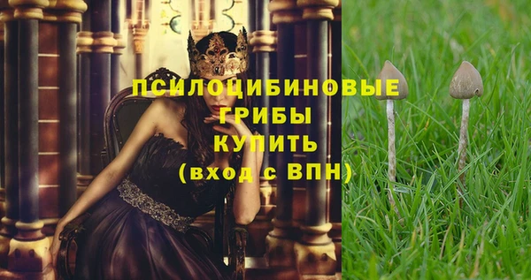 альфа пвп Новозыбков