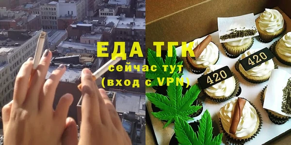 индика Новокубанск