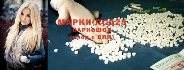 индика Новокубанск