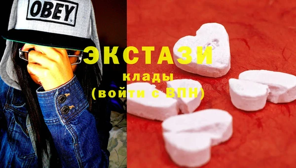 индика Новокубанск
