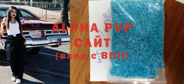 индика Новокубанск