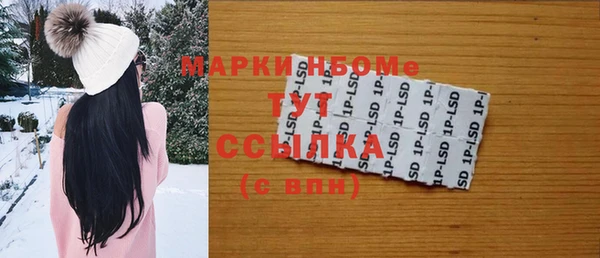 индика Новокубанск