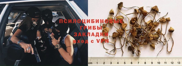 альфа пвп Новозыбков