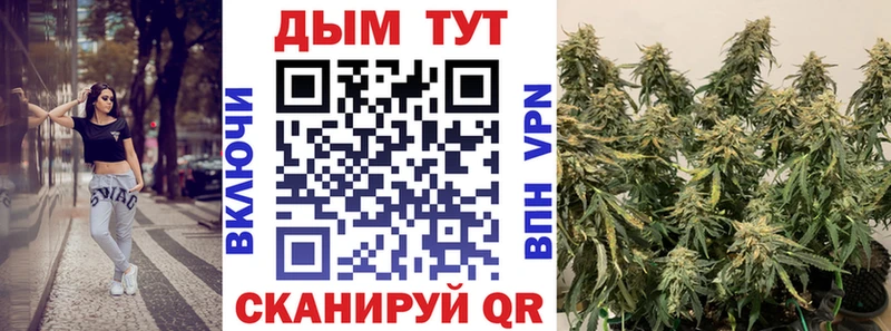 Бошки марихуана White Widow  mega маркетплейс  Североморск 